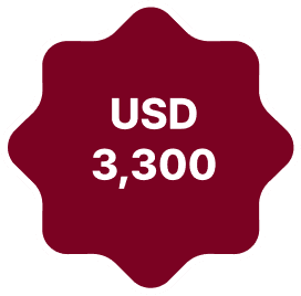 USD 3,300